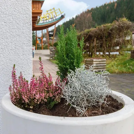 In Wald Near Zillertal Area Lejlighed *