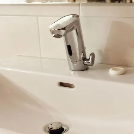 In Wald Near Zillertal Area *