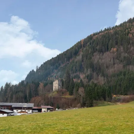 In Wald Near Zillertal Area *