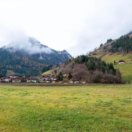 In Wald Near Zillertal Area *
