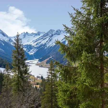 In Wald Near Zillertal Area