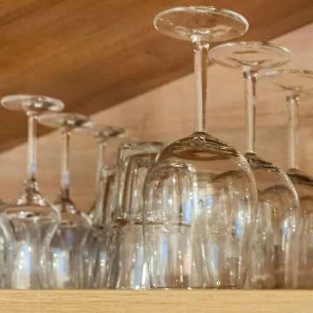 In Wald Near Zillertal Area *