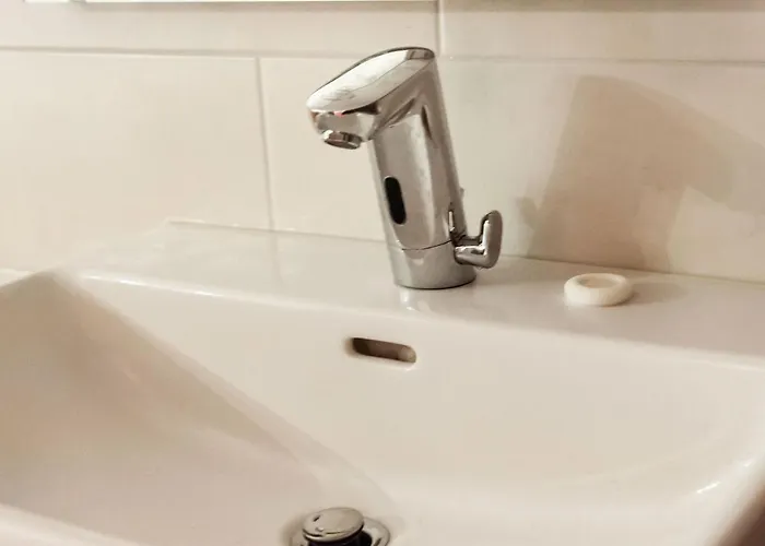 In Wald Near Zillertal Area *