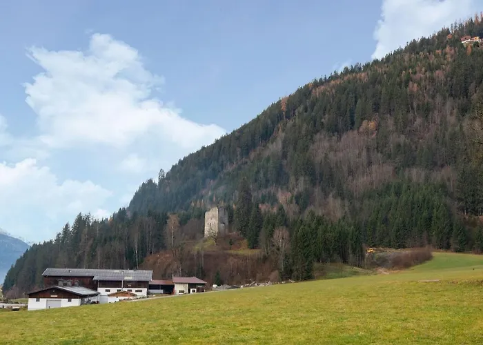 In Wald Near Zillertal Area *