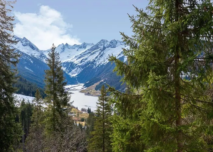 In Wald Near Zillertal Area