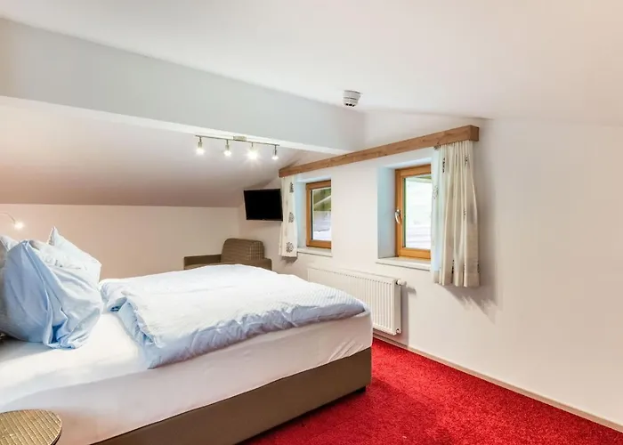 In Wald Near Zillertal Area